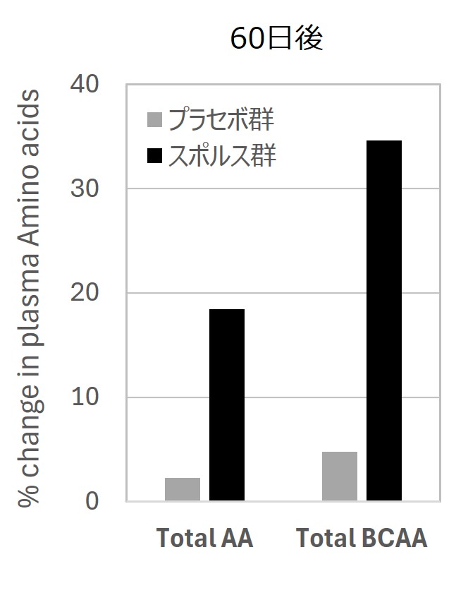 有胞子性乳酸菌・スポルスをフレイル対策に/セティ